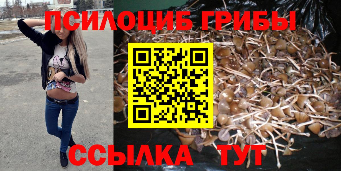 Холмск  Псилоцибиновые грибы GOLDEN TEACHER  Вход с VPN 